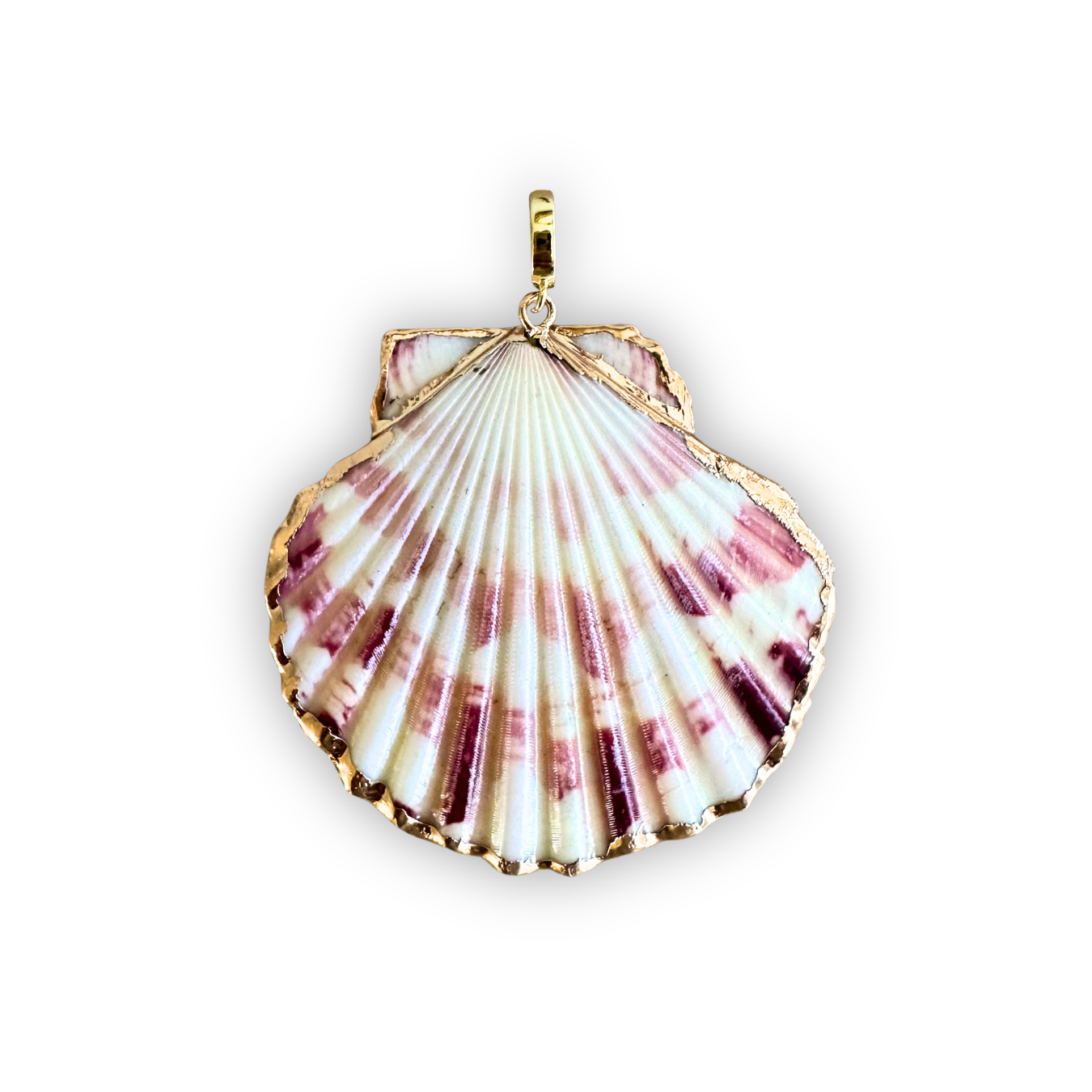 Natural Scallop Shell Clip-On Charm