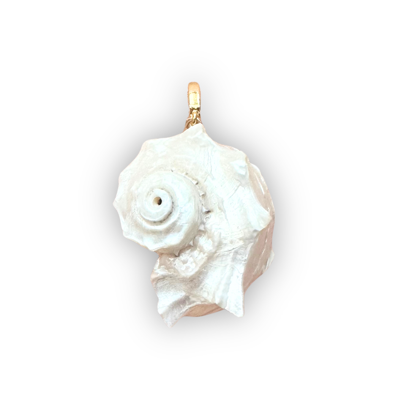 Natural Conch Shell Clip-On Charm