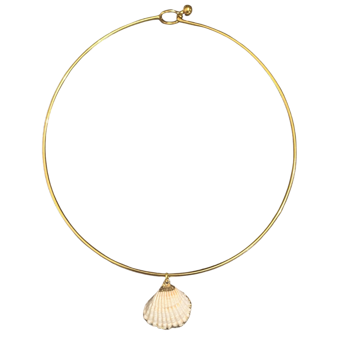 Natural Shell Collar Necklace