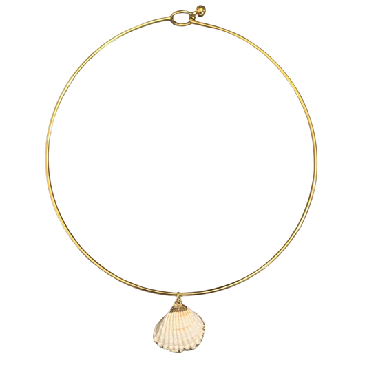 Natural Shell Collar Necklace