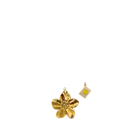 Custom Clip-On Charms